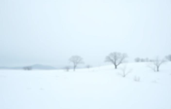 Snowy landscape in Hokkaido with bare trees.